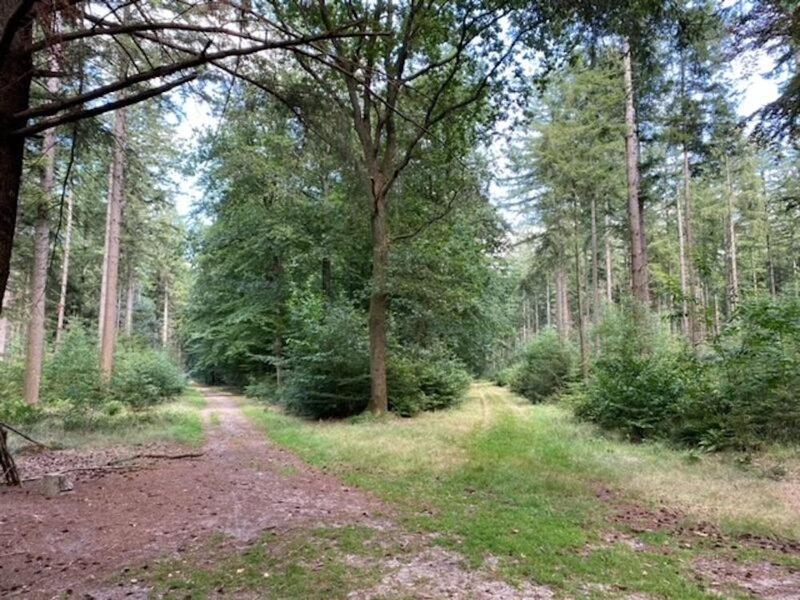 Stacaravan Huren In Het Hart Van Bosrijk Drenthe Op Recreatiepark De Tien Heugten Schoonloo Kültér fotó