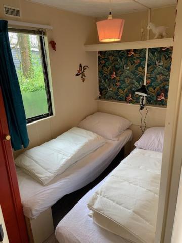 Stacaravan Huren In Het Hart Van Bosrijk Drenthe Op Recreatiepark De Tien Heugten Schoonloo Kültér fotó